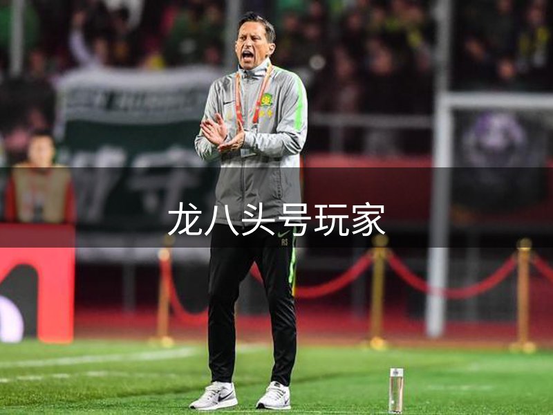 龙八头号玩家简介